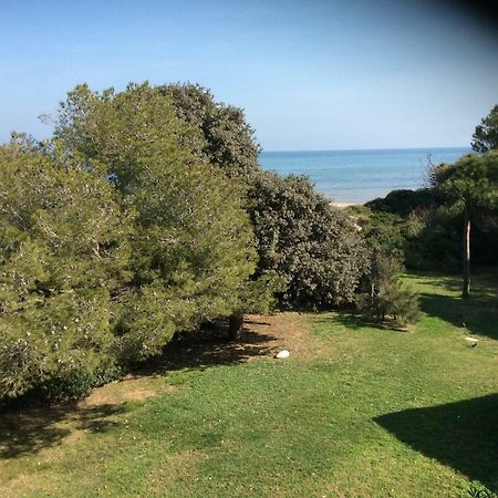 Entre mer et piscine Hyères Eksteriør bilde