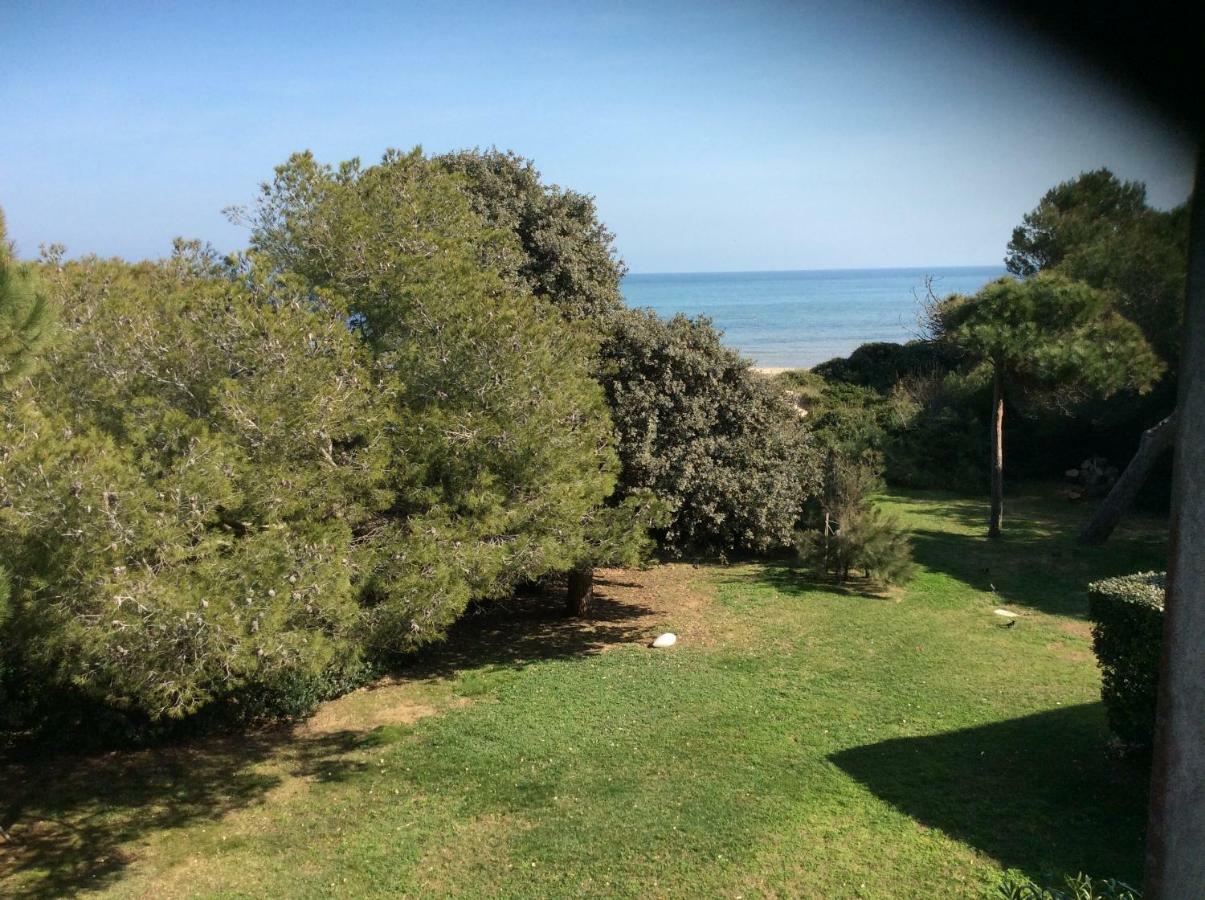 Entre mer et piscine Hyères Eksteriør bilde