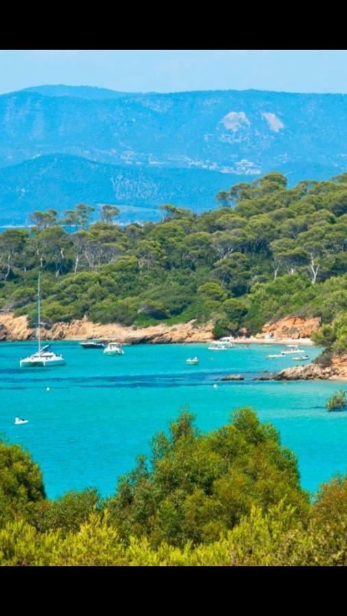Entre mer et piscine Hyères Eksteriør bilde